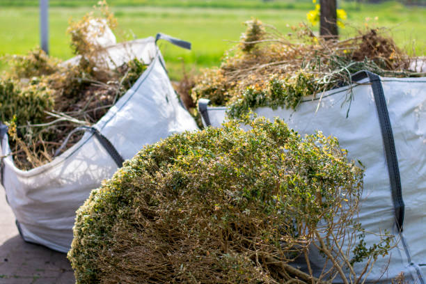 Best Junk Removal Near Me  in Moss Point, MS